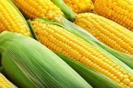 Corn
