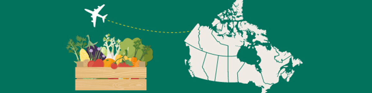 Food export